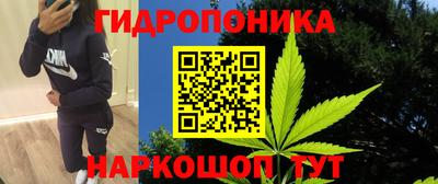 спайс Будённовск