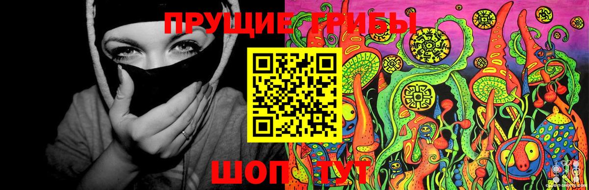 Псилоцибиновые грибы Psilocybine cubensis Жигулёвск